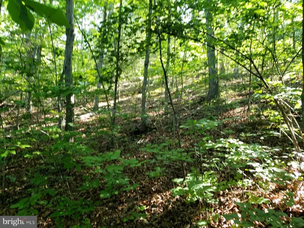 $450,000 | 0 Lakeview Drive, Cross Junction, VA 22625