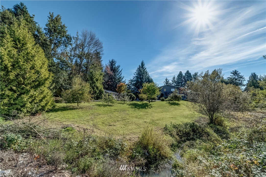 3367 Clearbrook Road Sumas, WA 98295 - Photo 3 of 25 a view of a big yard with lots of green space