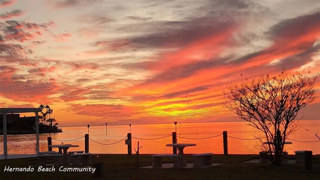 an aerial view of residential building and lake