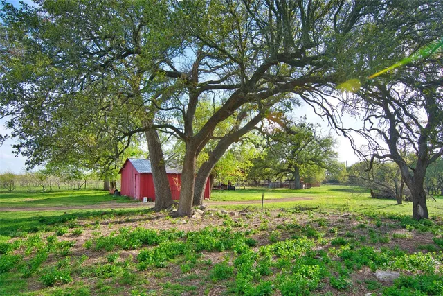 a view of backyard with large trees and plants