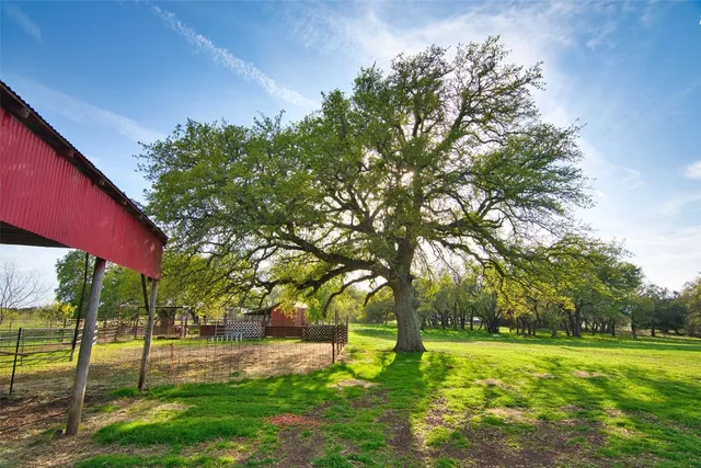 a view of a backyard with a garden