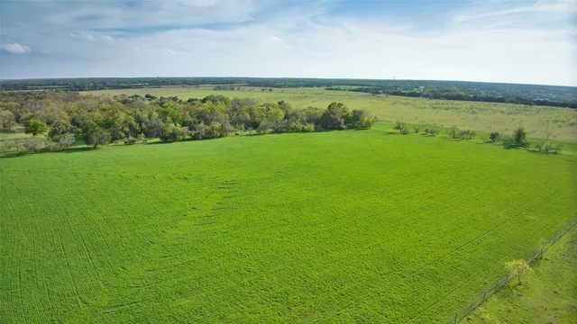 a view of an ocean from a yard