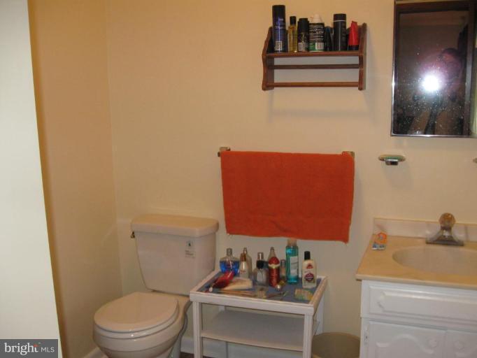 21990 Blue Ridge Mountain Road Paris, VA 20130 - Photo 13 of 30 Master Bath