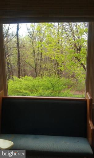 21990 Blue Ridge Mountain Road Paris, VA 20130 - Photo 28 of 30 Other #4
