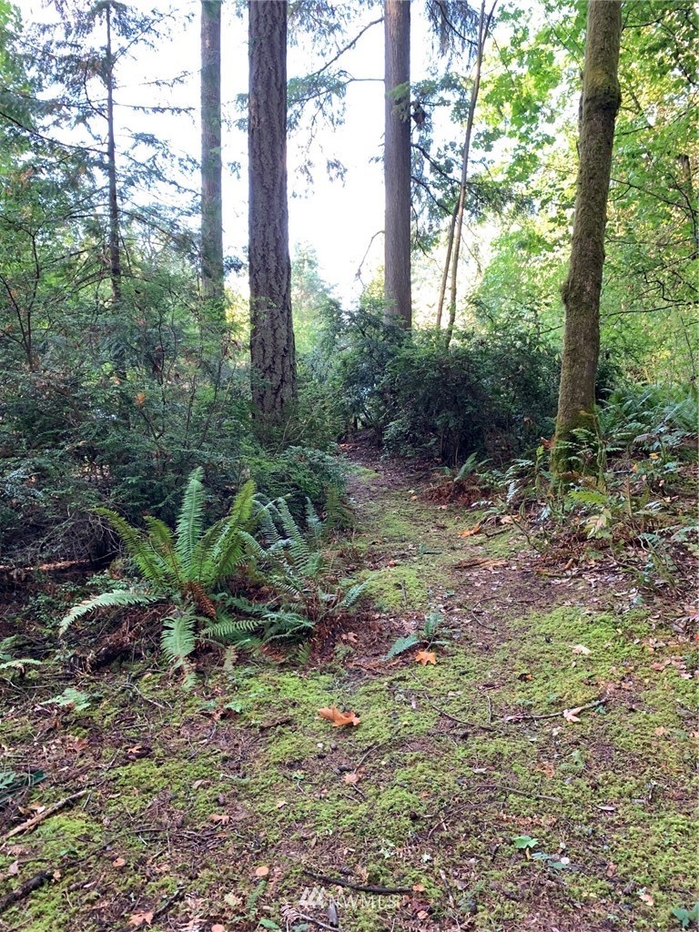 1834 Southwest Hanson Road Port Orchard, WA 98367 - Photo 21 of 21 Gallery Image 21