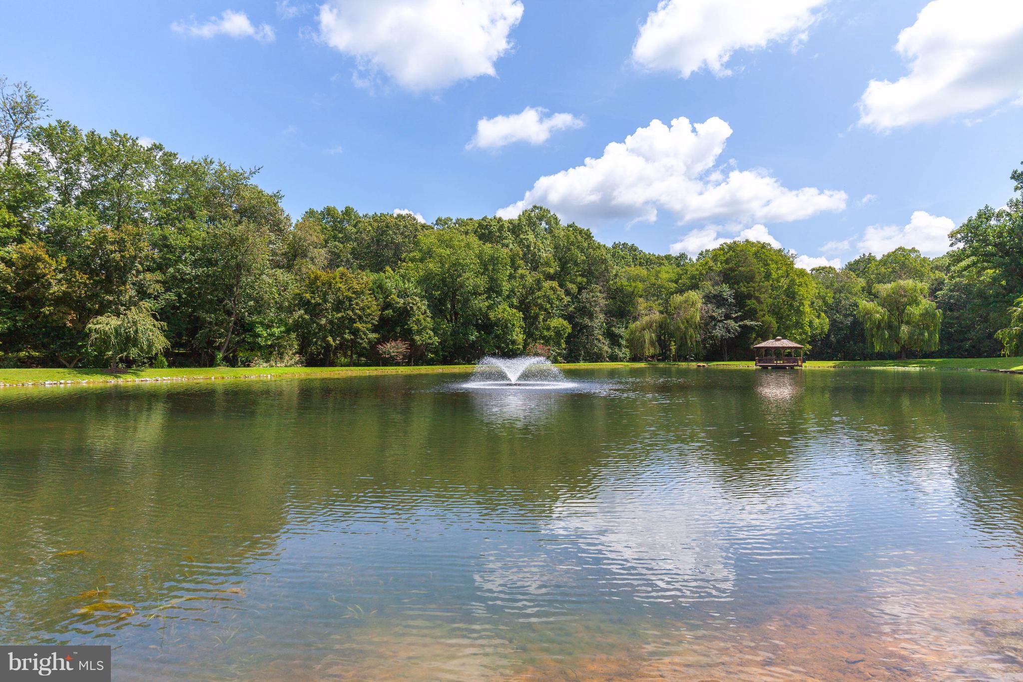 3173 Daisy Road Woodbine, MD 21797 - Photo 28 of 30 Pond With Gazebo