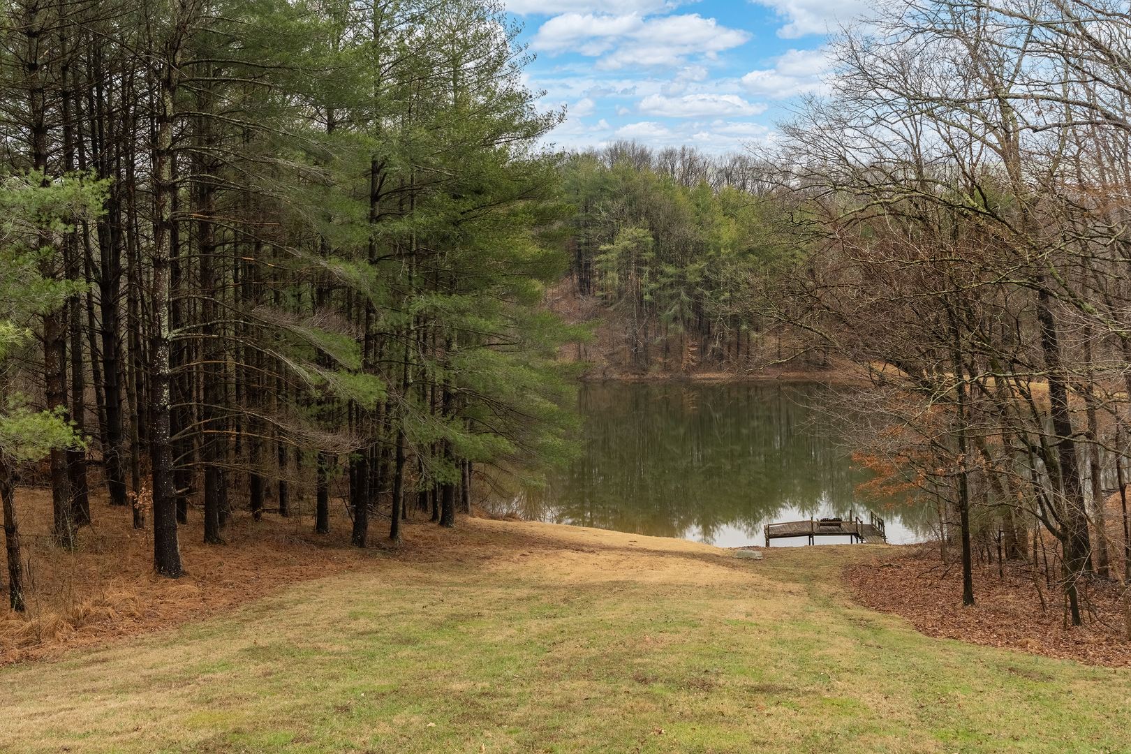 3085 Kaolin Road Cobden, IL 62920 - Photo 39 of 83 a backyard of a house with lots of green space