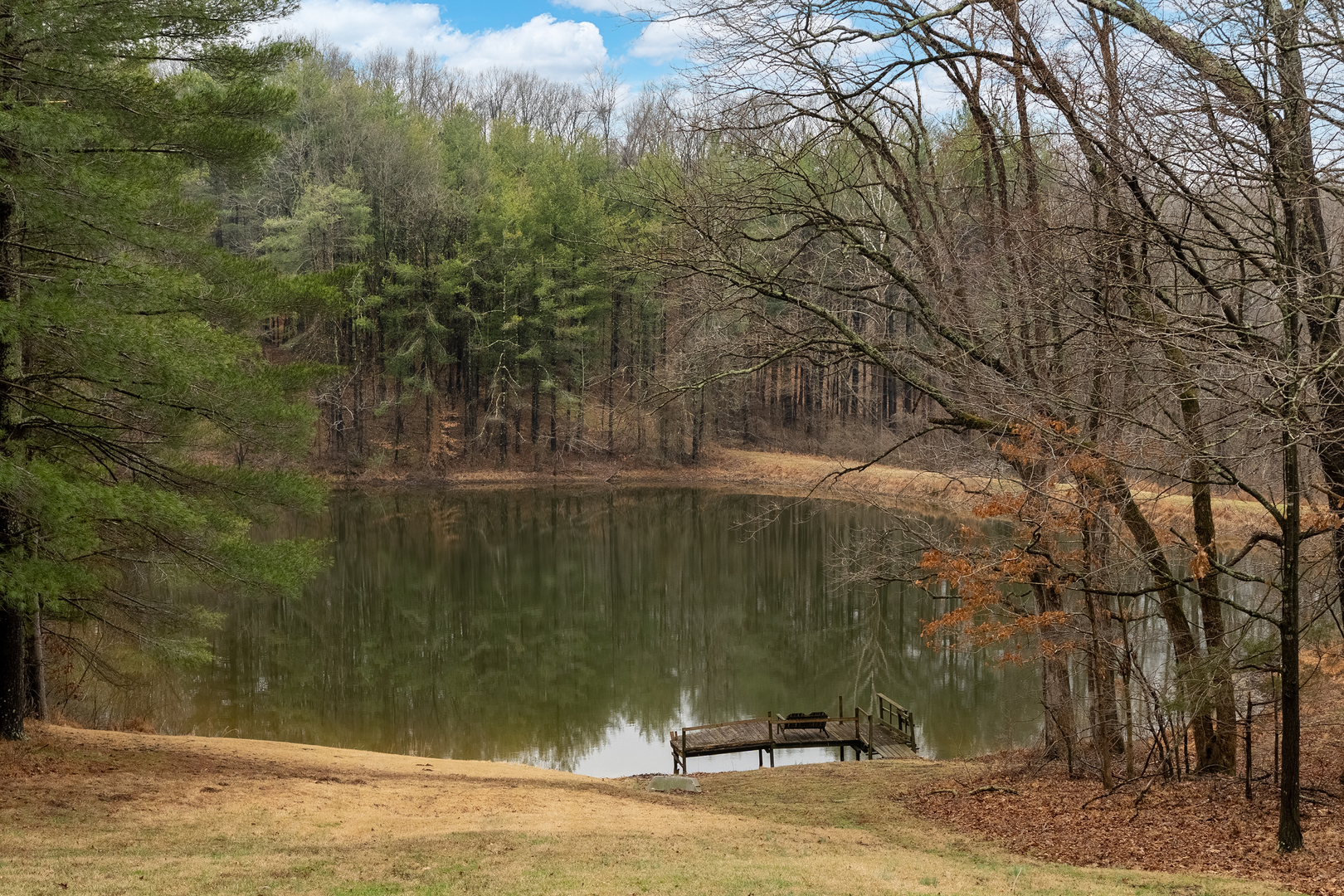 3085 Kaolin Road Cobden, IL 62920 - Photo 41 of 83 a backyard of a house with lots of green space