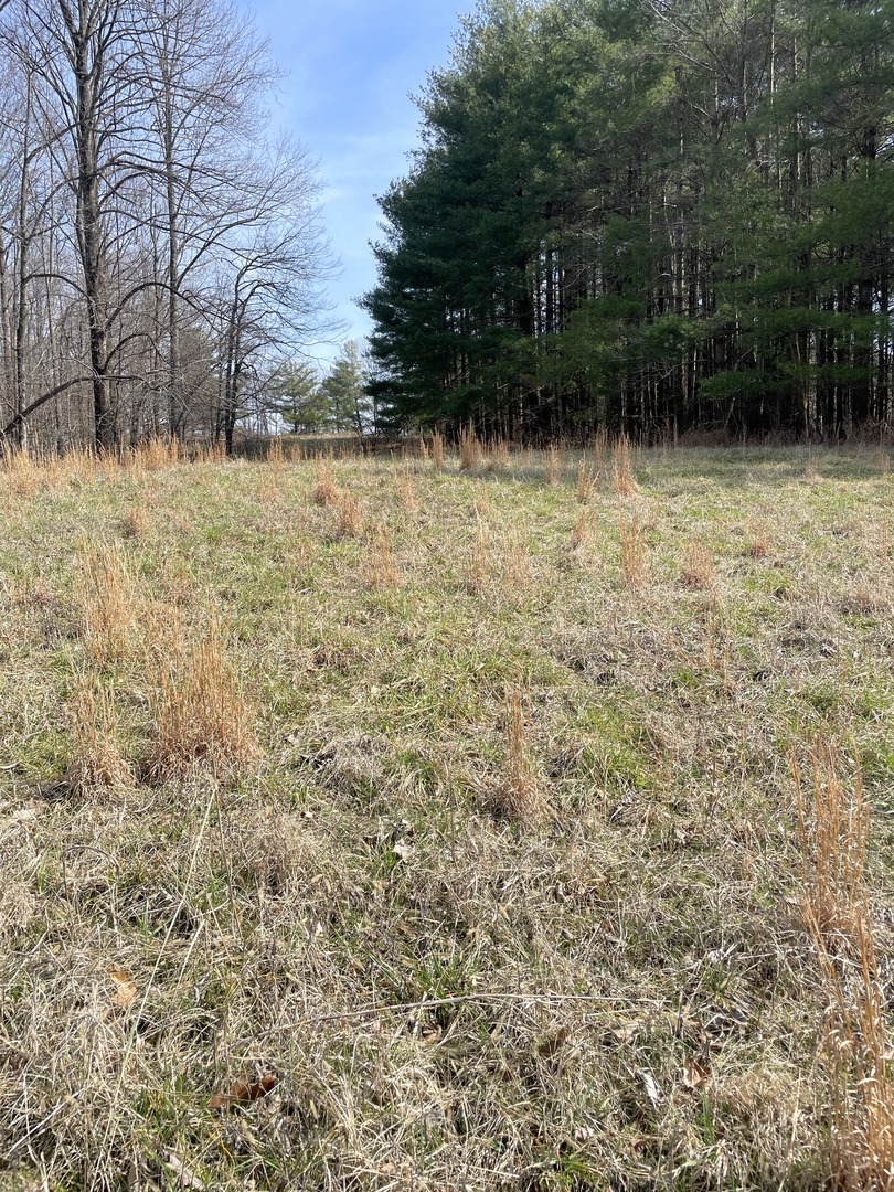 3085 Kaolin Road Cobden, IL 62920 - Photo 53 of 68