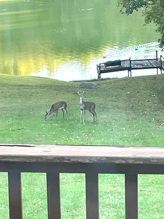 $739,000 | 3085 Kaolin Road, Cobden, IL 62920