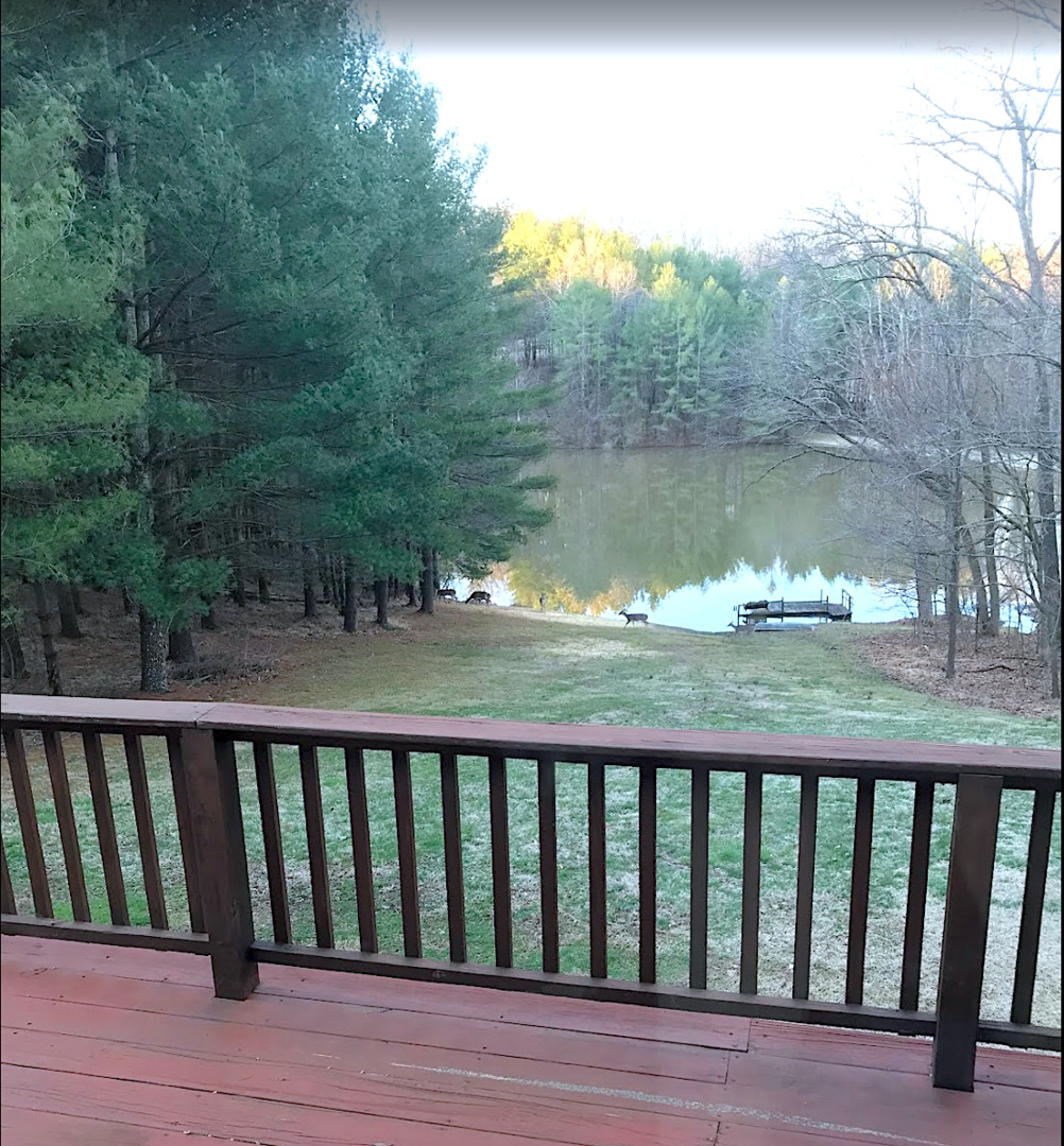 3085 Kaolin Road Cobden, IL 62920 - Photo 57 of 83 a view of lake from a balcony