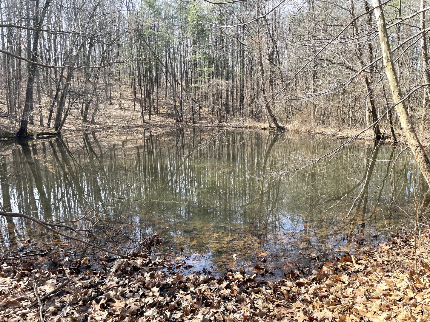 3085 Kaolin Road Cobden, IL 62920 - Photo 73 of 83