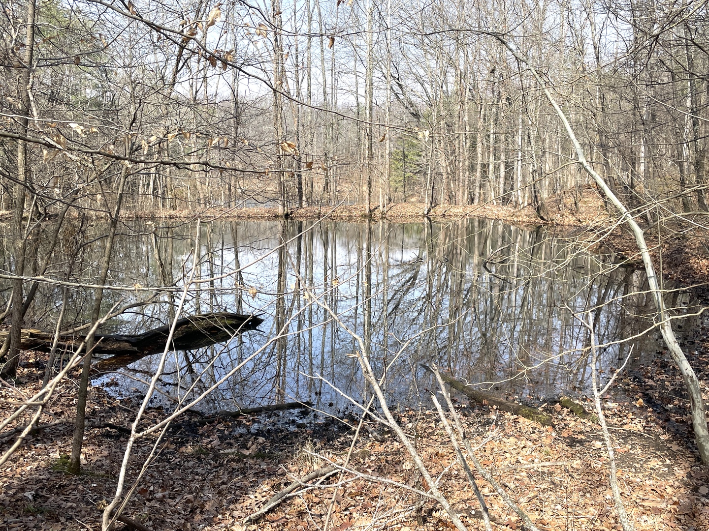 3085 Kaolin Road Cobden, IL 62920 - Photo 74 of 83