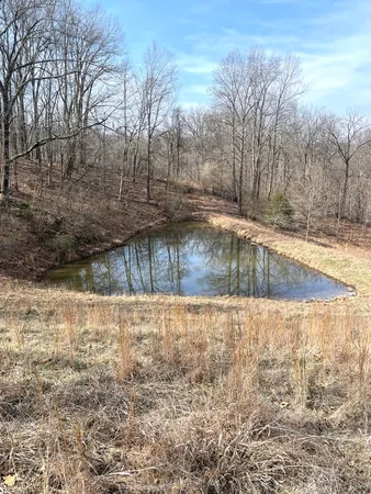 $739,000 | 3085 Kaolin Road, Cobden, IL 62920