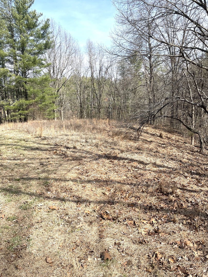 3085 Kaolin Road Cobden, IL 62920 - Photo 76 of 83 a view of a yard with snow on