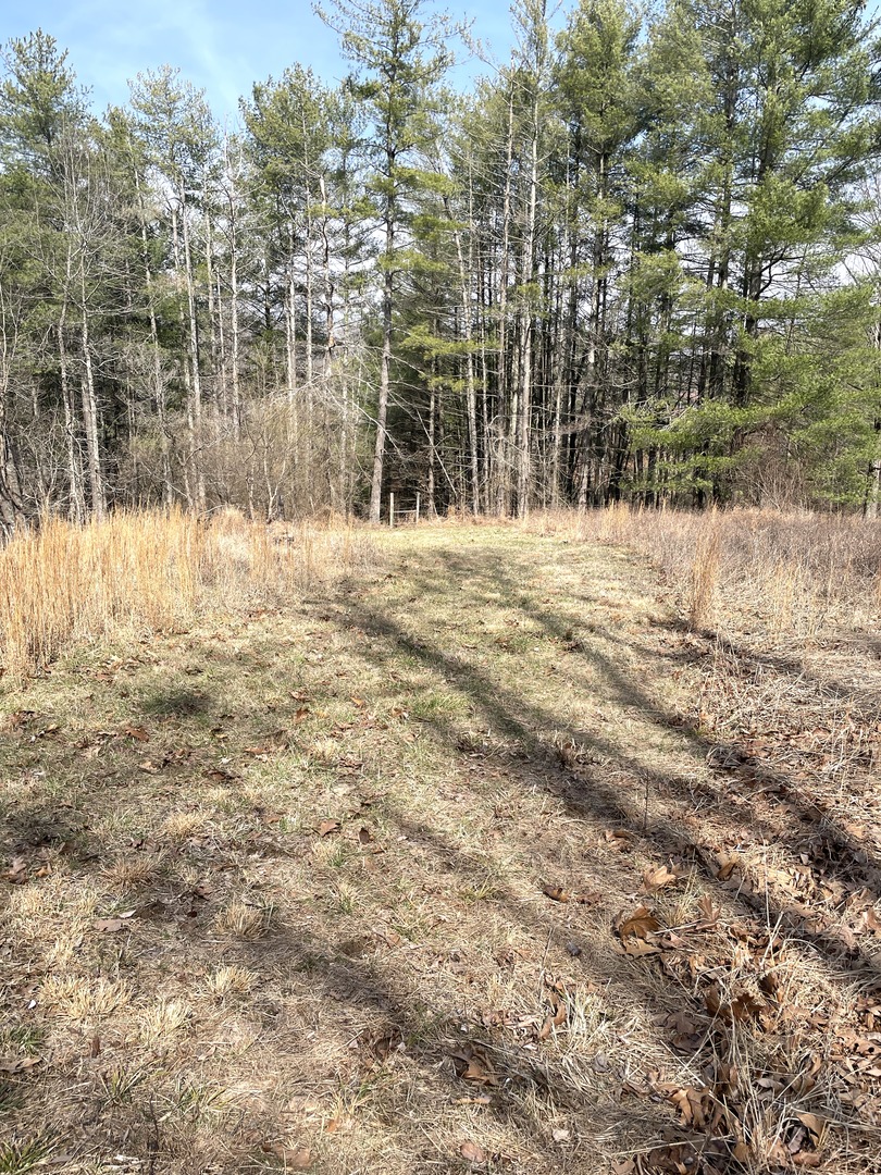 3085 Kaolin Road Cobden, IL 62920 - Photo 77 of 83