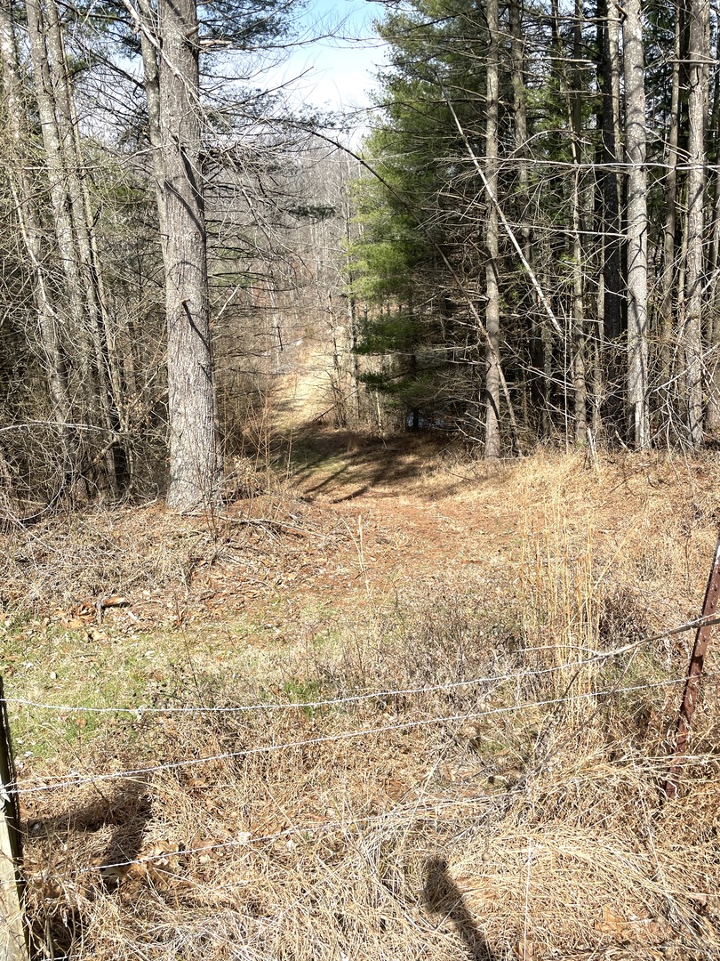 3085 Kaolin Road Cobden, IL 62920 - Photo 78 of 83 a view of empty space and wooden fence