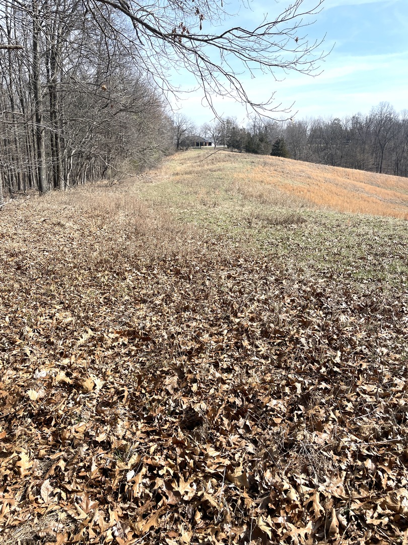 3085 Kaolin Road Cobden, IL 62920 - Photo 80 of 83