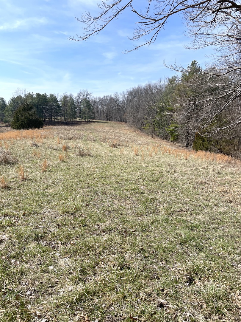 3085 Kaolin Road Cobden, IL 62920 - Photo 83 of 83 a view of a lake view