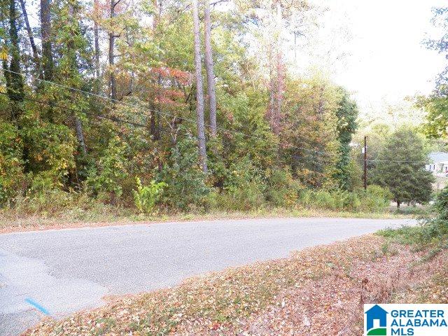 1224 Arklow Road Weaver, AL 36277 - Photo 41 of 44