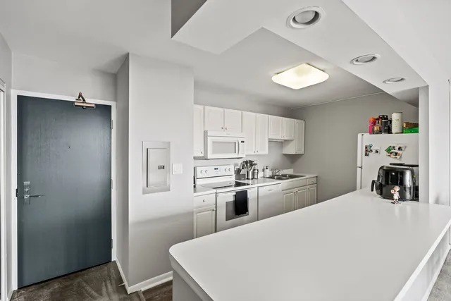 $205,000 | 3930 North Pine Grove Avenue, Unit 2010, Chicago, IL 60613