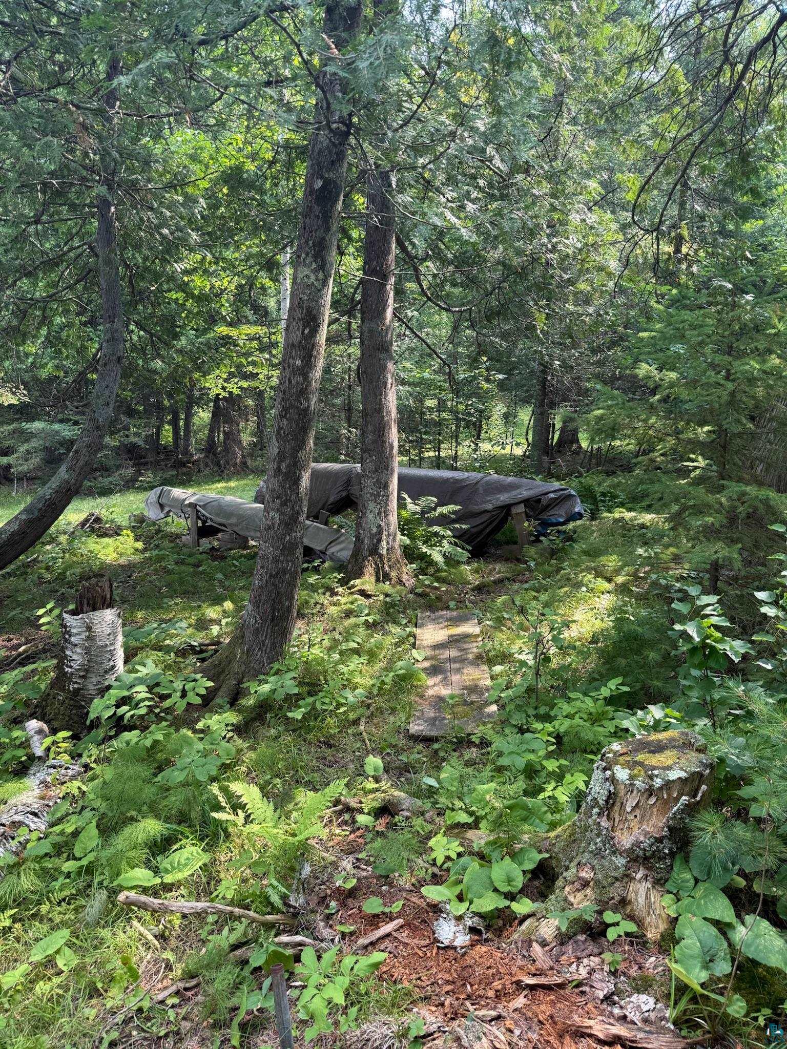 3003 Burntside Ridge Trail Ely, MN 55731 - Photo 79 of 93