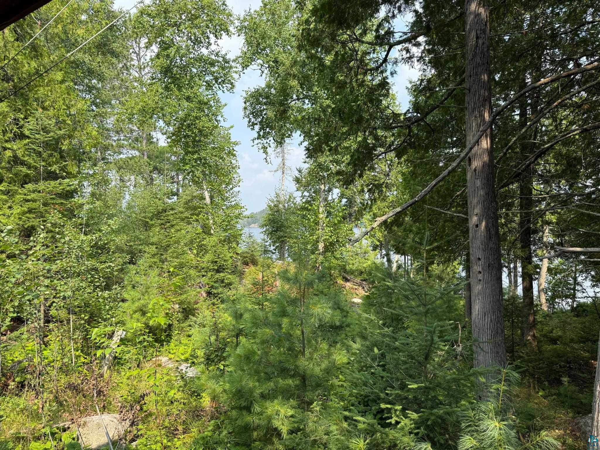 3003 Burntside Ridge Trail Ely, MN 55731 - Photo 85 of 93