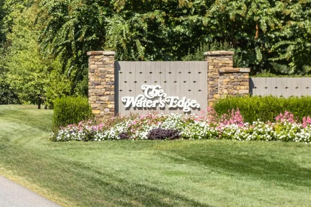 a view of a bunch of flowers