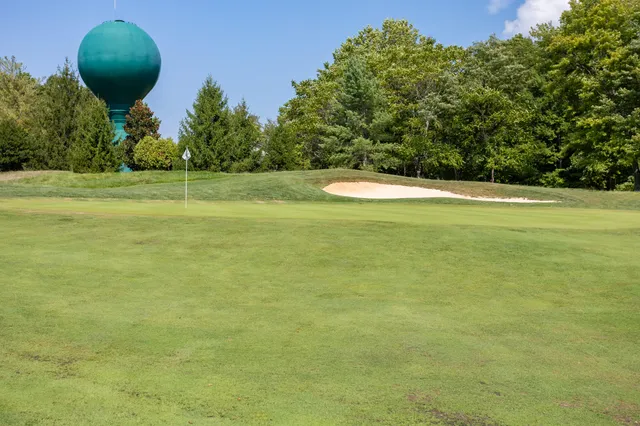 a front view of house with yard and trees around