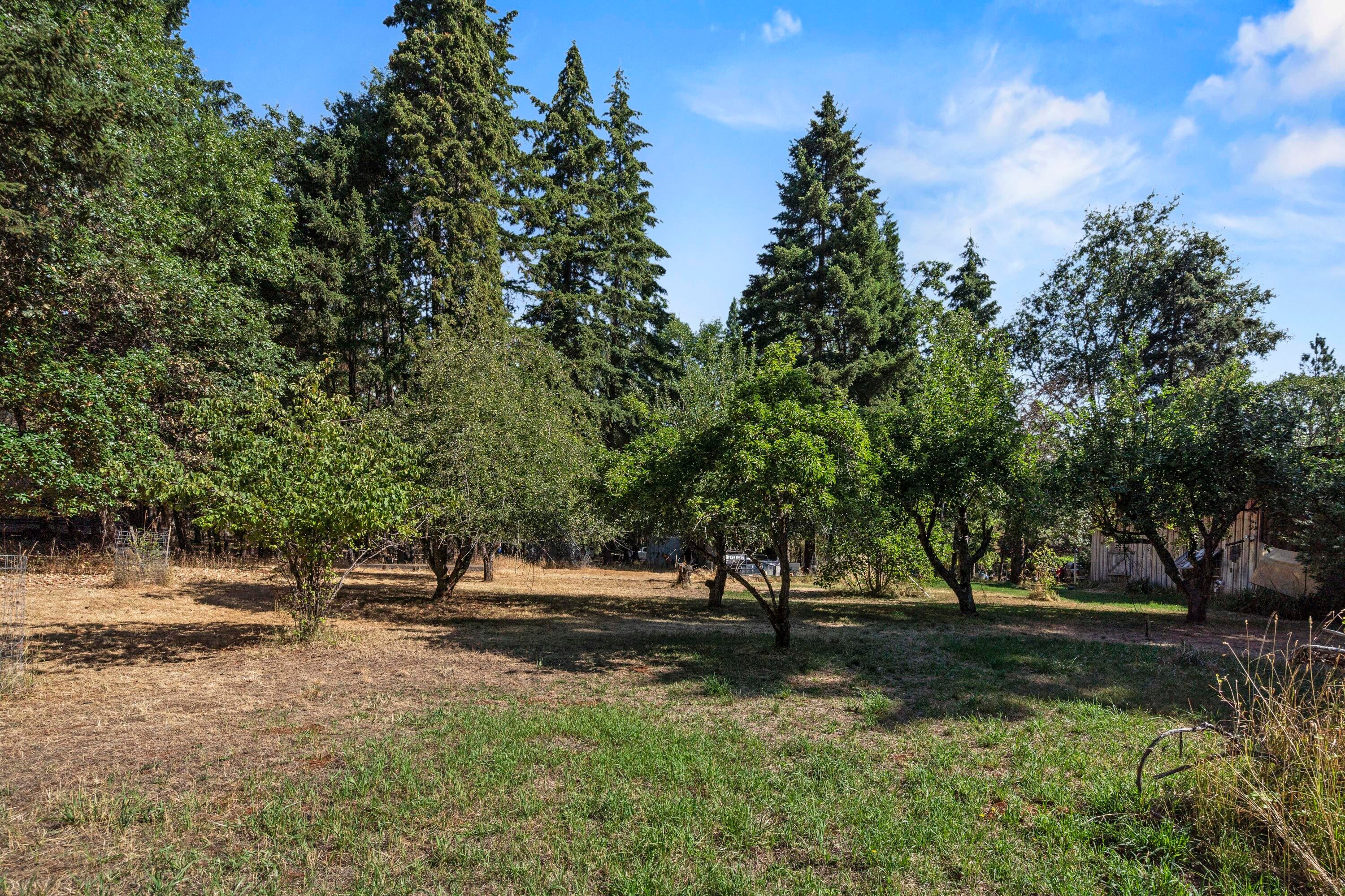 2681 Russell Road Grants Pass, OR 97526 - Photo 29 of 46 Fruit Tree Orchard