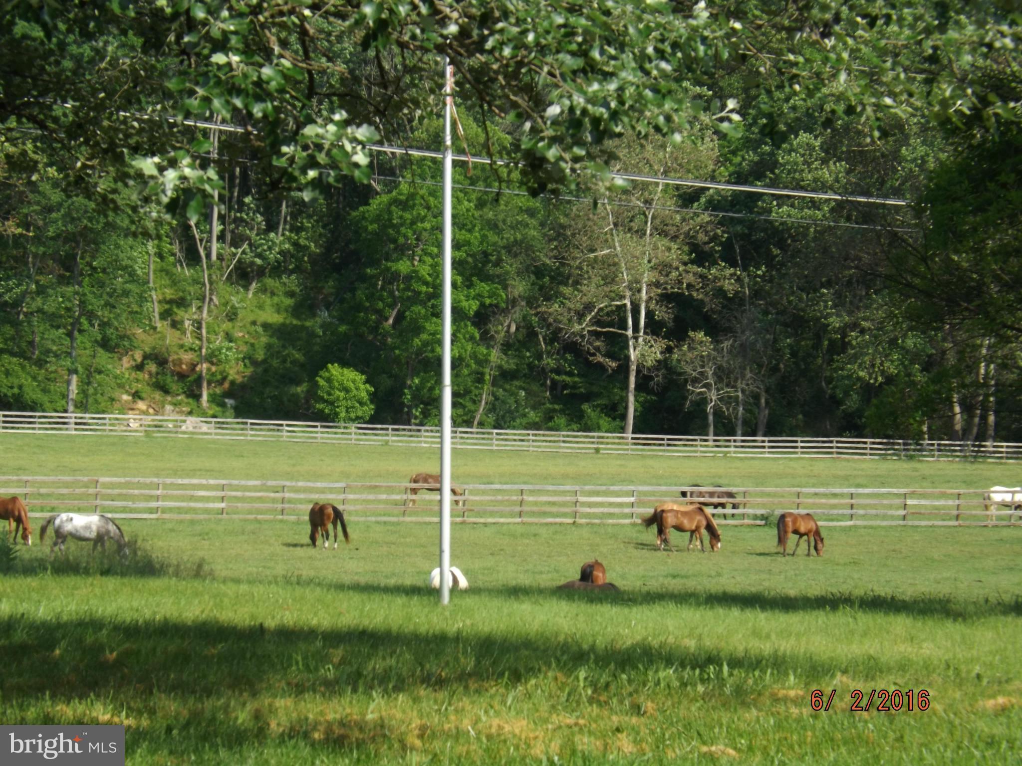 948 Morgan Ford Road Front Royal, VA 22630 - Photo 30 of 30 View