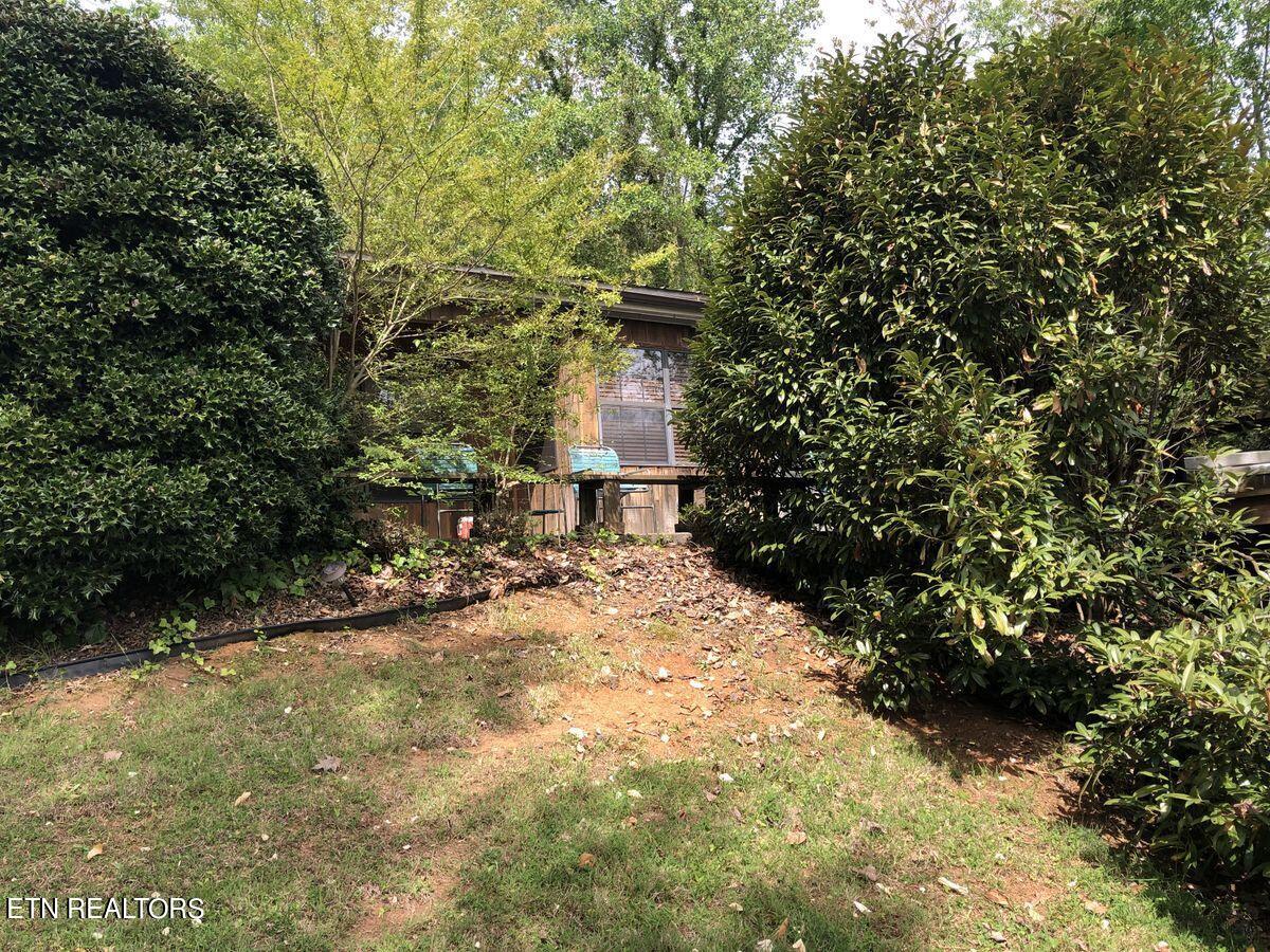 195 Woodland Drive Rutledge, TN 37861 - Photo 3 of 7 28439769_IMG_4158