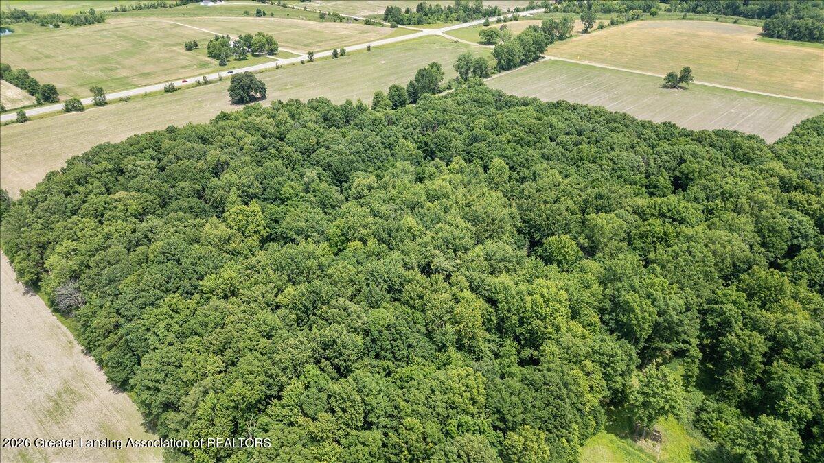 8106 South Allen Road Ashley, MI 48806 - Photo 42 of 57