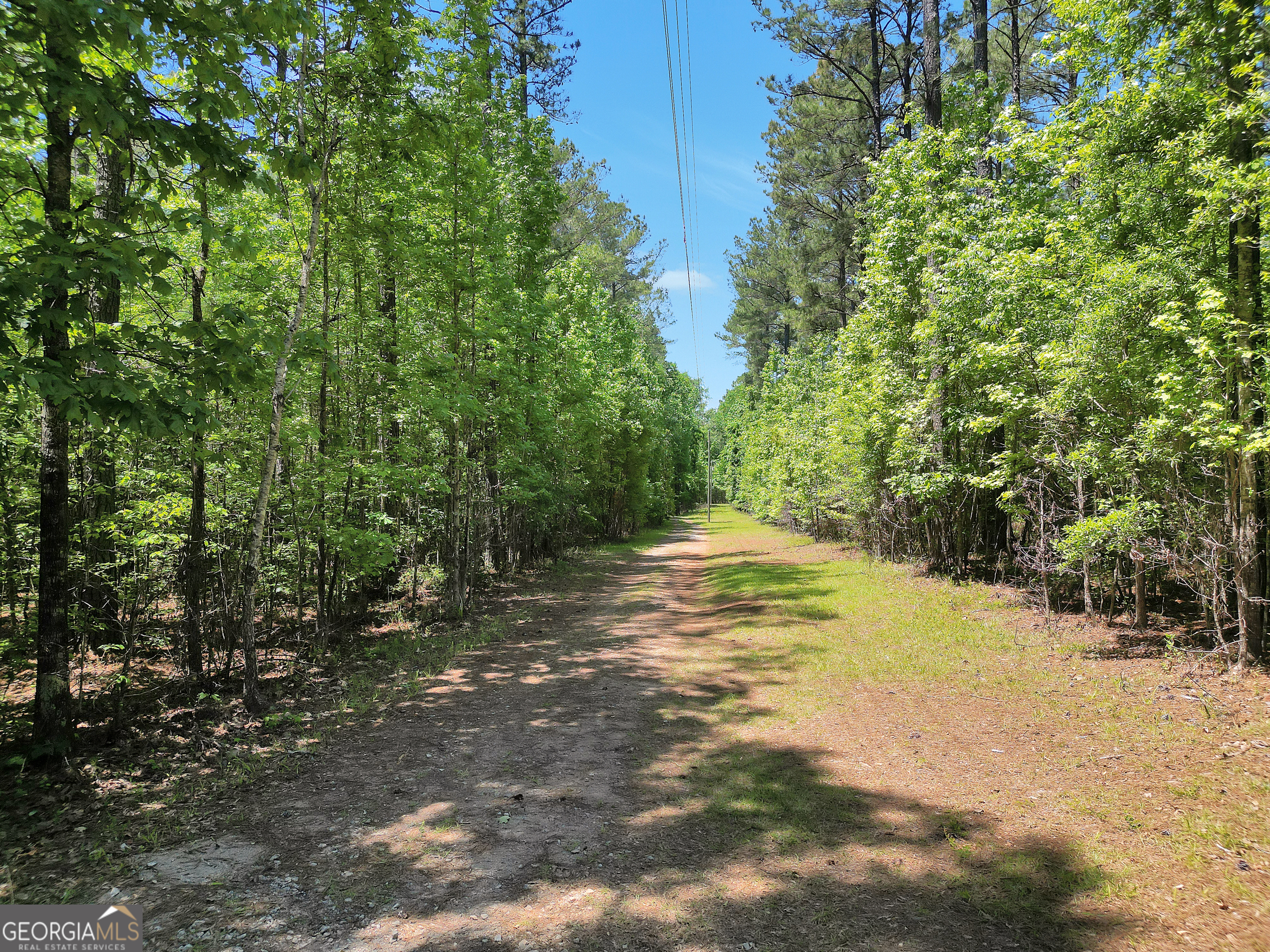 715 Concord Road Shady Dale, GA 31085 - Photo 33 of 38 a view of lake view and trees