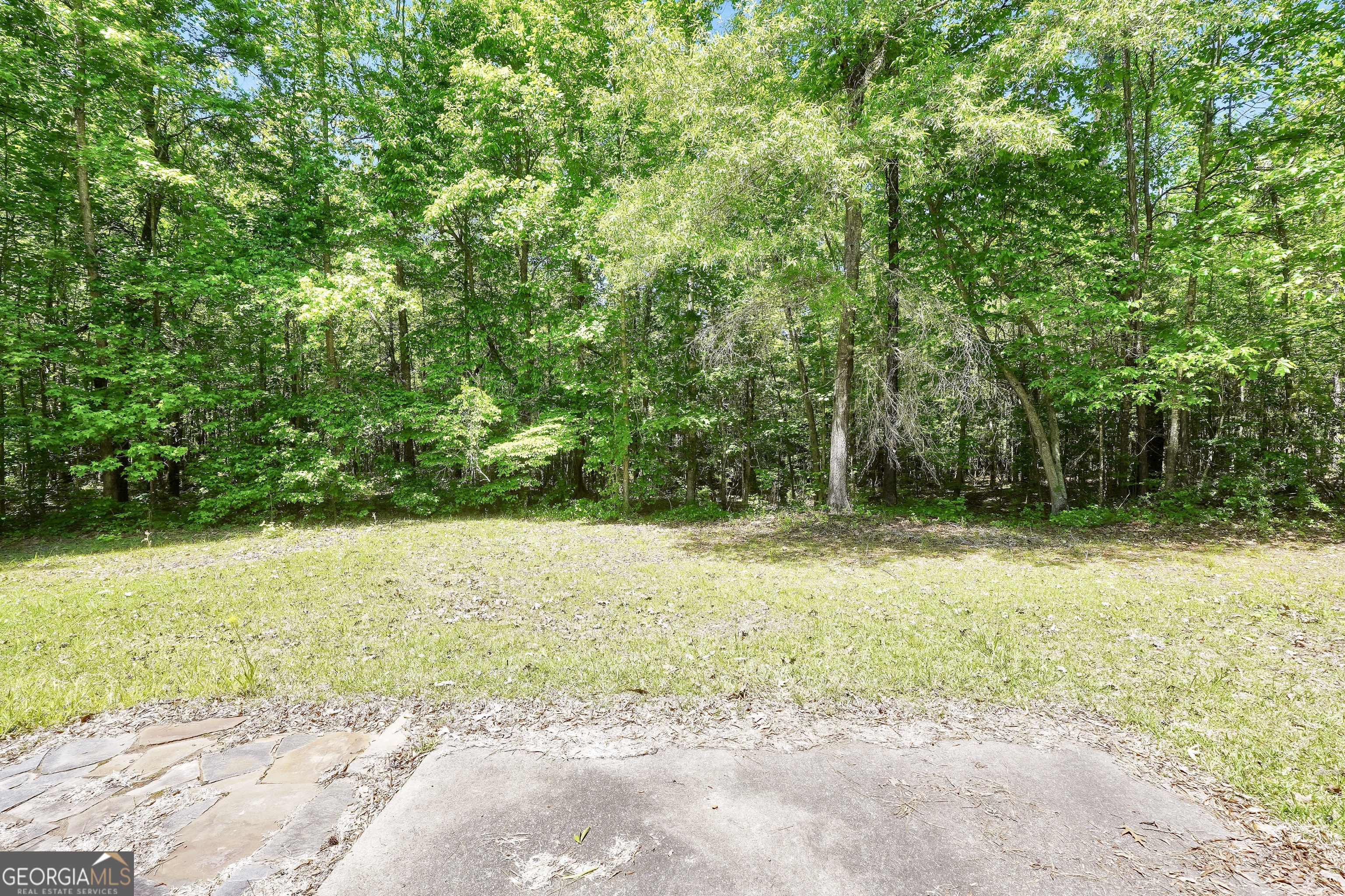 715 Concord Road Shady Dale, GA 31085 - Photo 35 of 38 a view of a yard with a trees