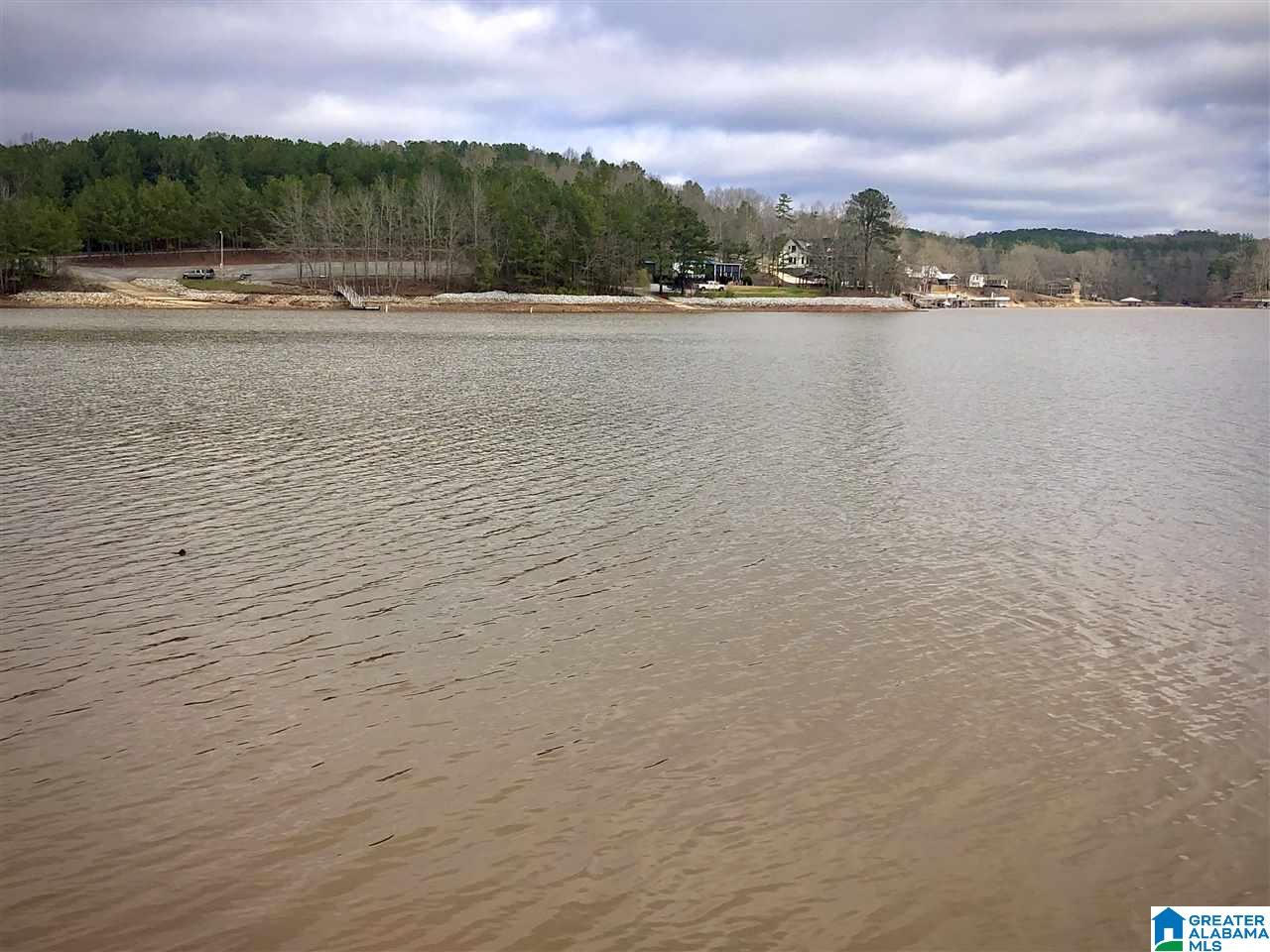 247 County Road 247 Wedowee, AL 36278 - Photo 6 of 8