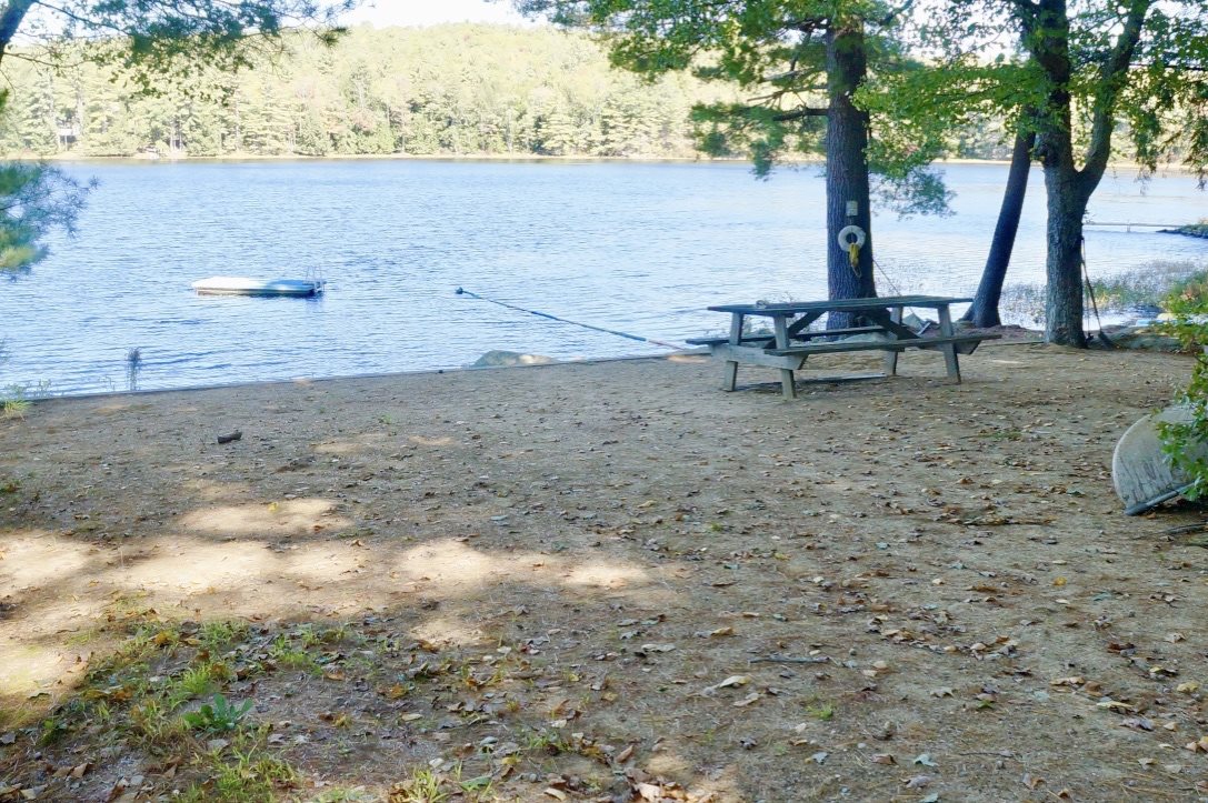 194 Long Pond Road Northwood, NH 03261 - Photo 3 of 39