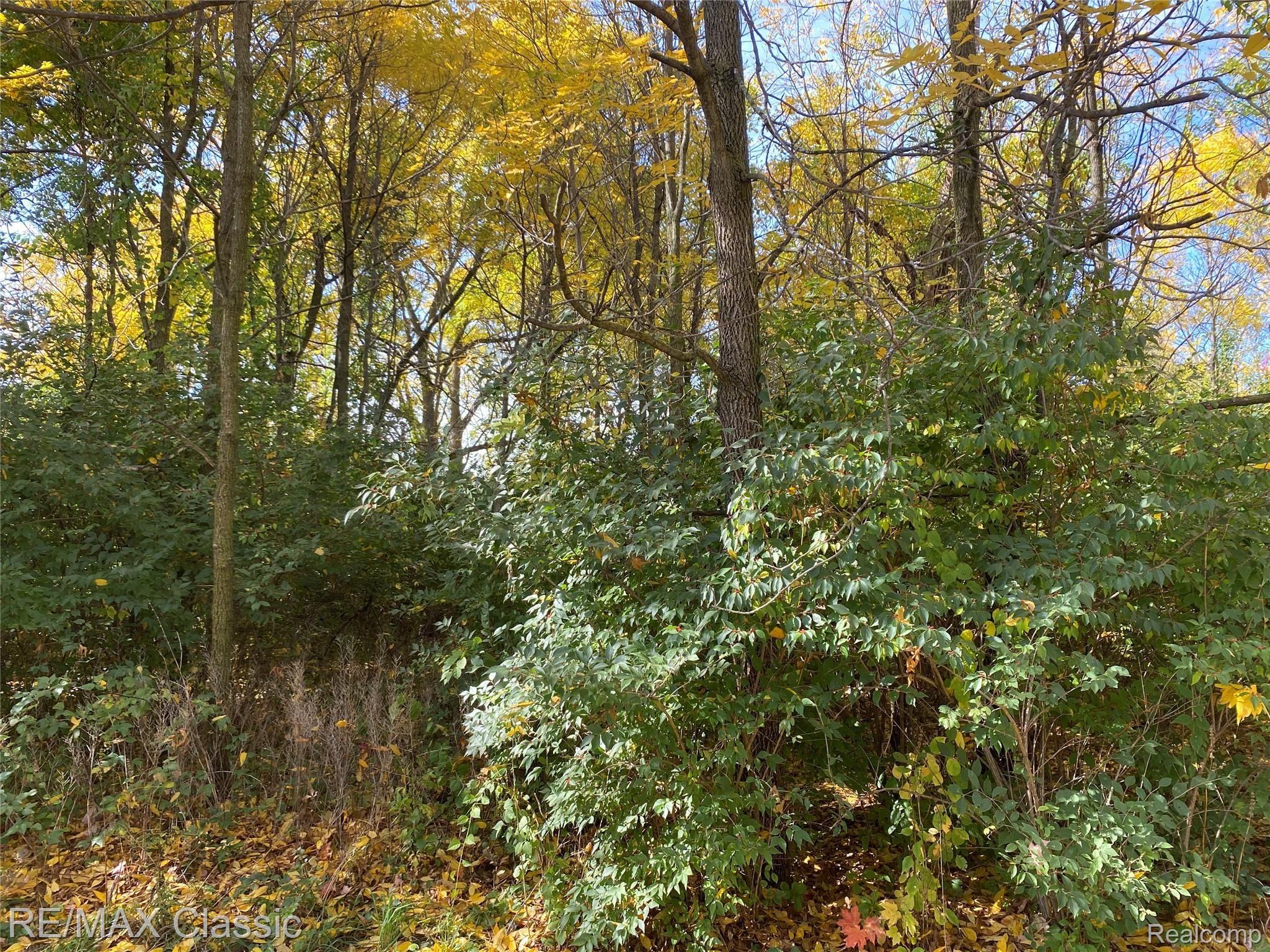 8927 Newburgh Road Livonia, MI 48150 - Photo 47 of 54 N2.jpeg