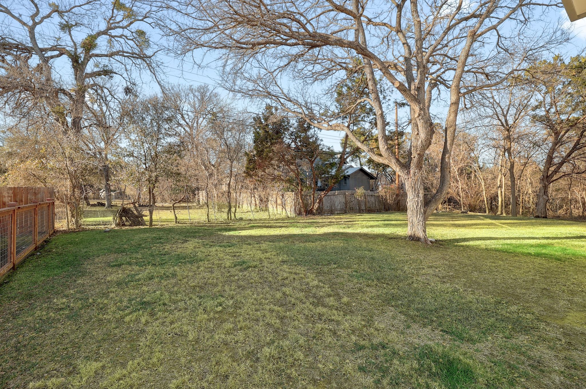 5710 Longhorn Landing Austin, TX 78734 - Photo 24 of 37 a view of yard with trees