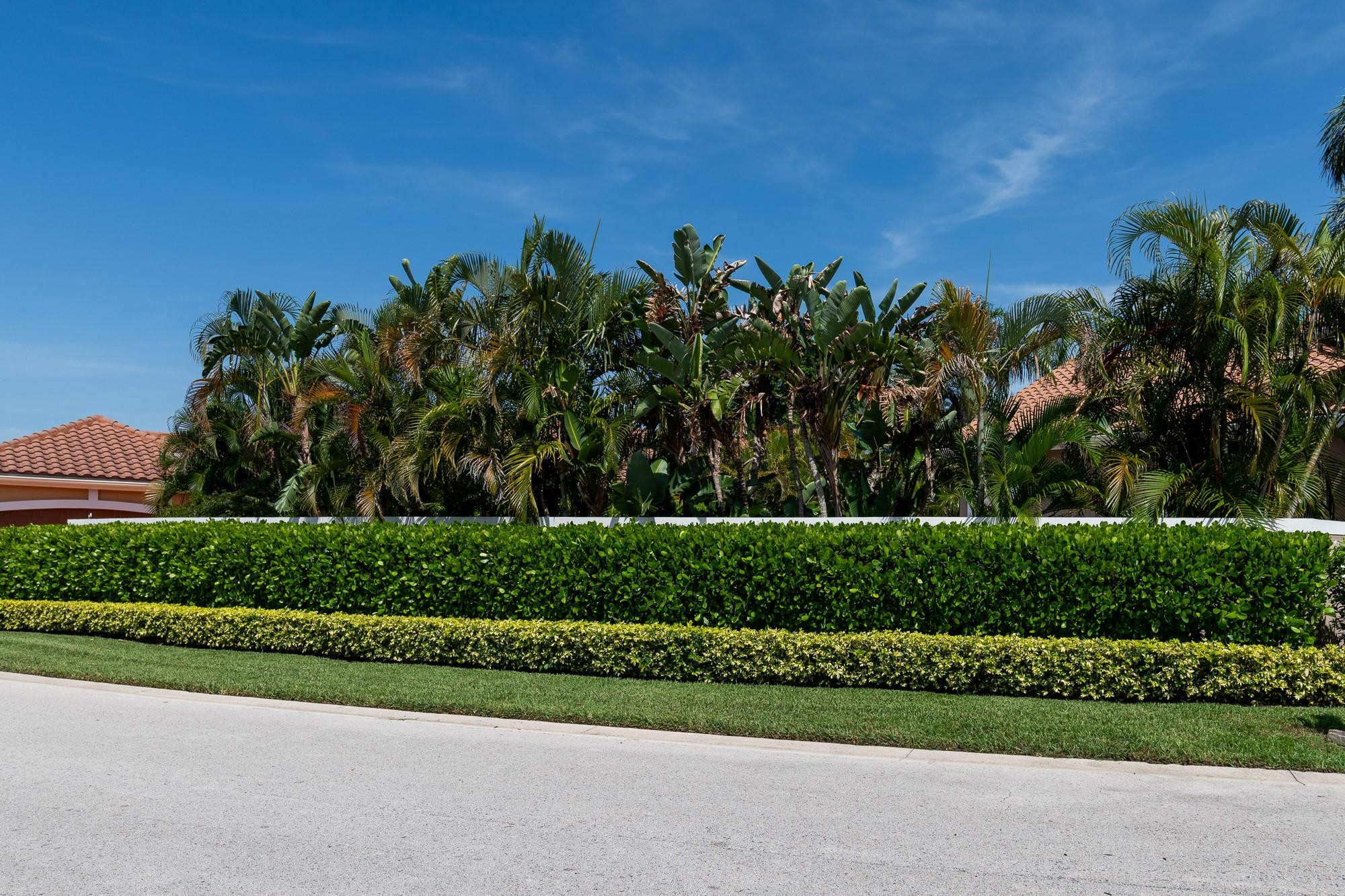 6192 Northwest 24th Street Boca Raton, FL 33434 - Photo 41 of 57 a view of a yard with a street