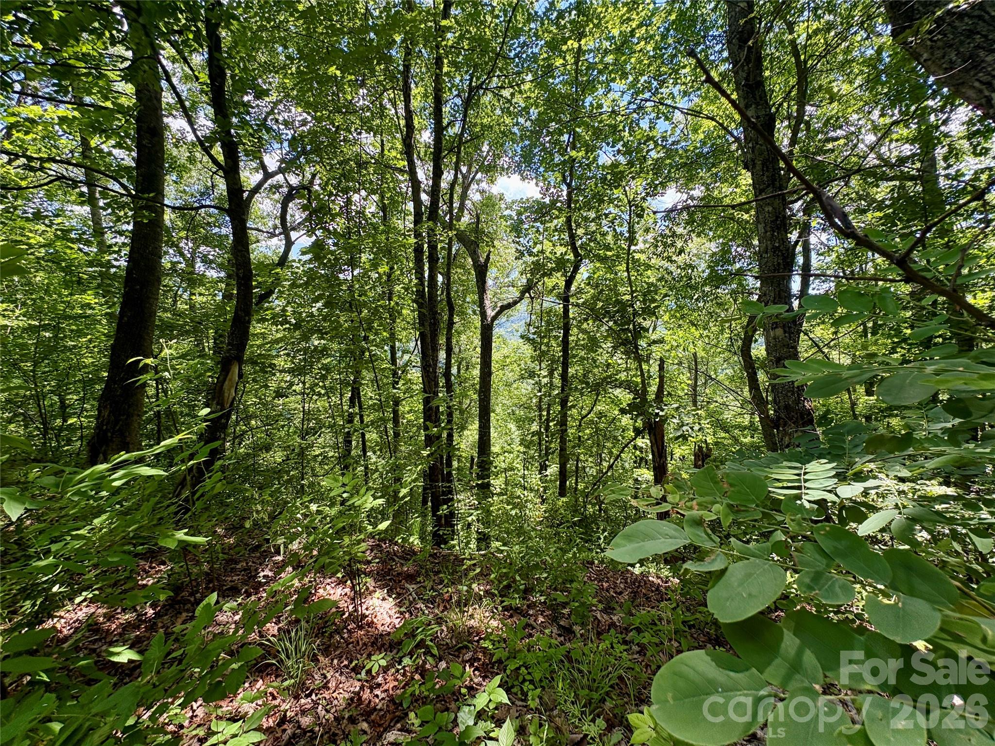 0 Eagles Roost Road, Unit 70 Bryson City, NC 28713 - Photo 6 of 13