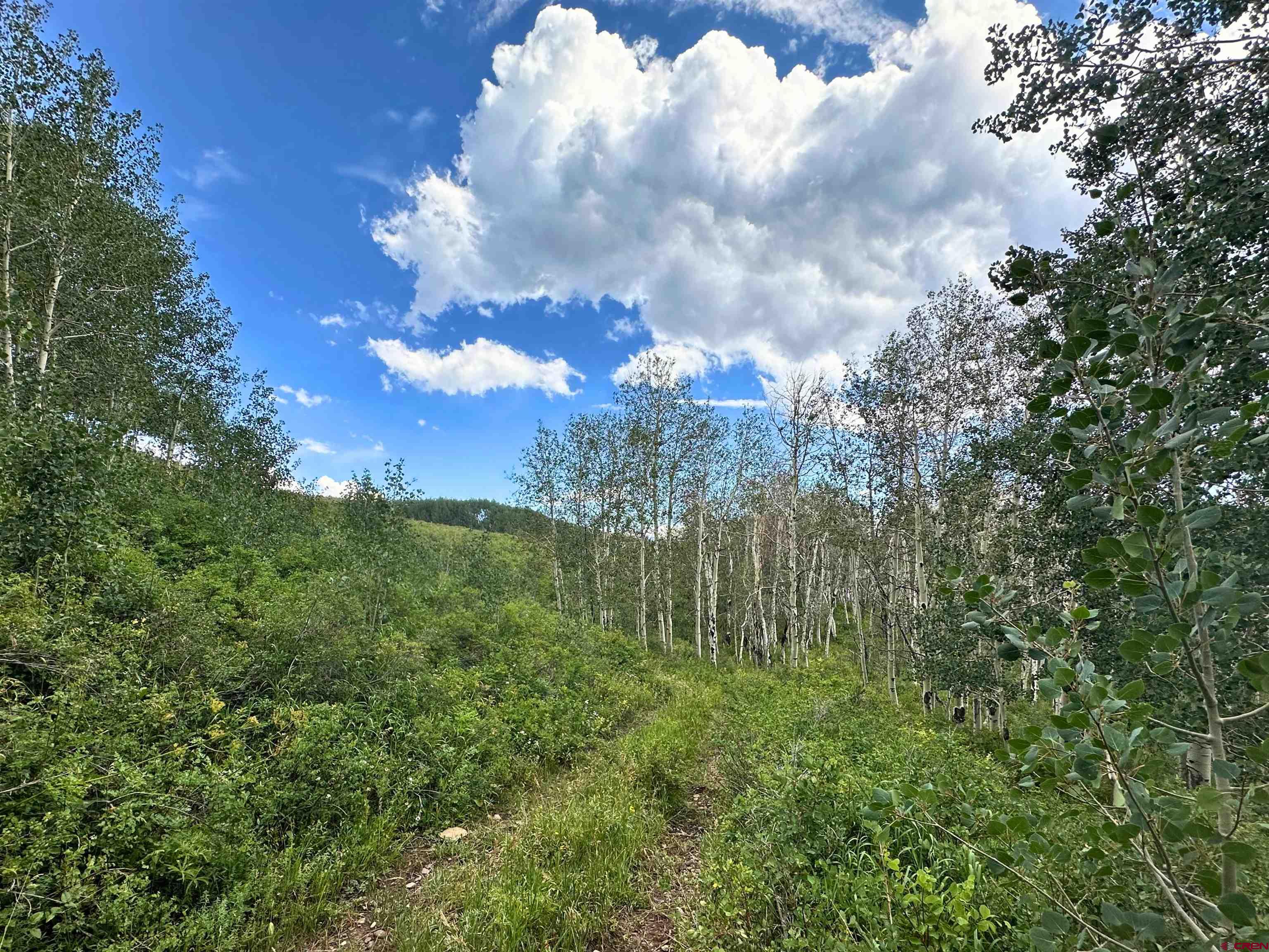 Tbd Tbd Johnson Road Paonia, CO 81428 - Photo 3 of 15 Gallery Image 3