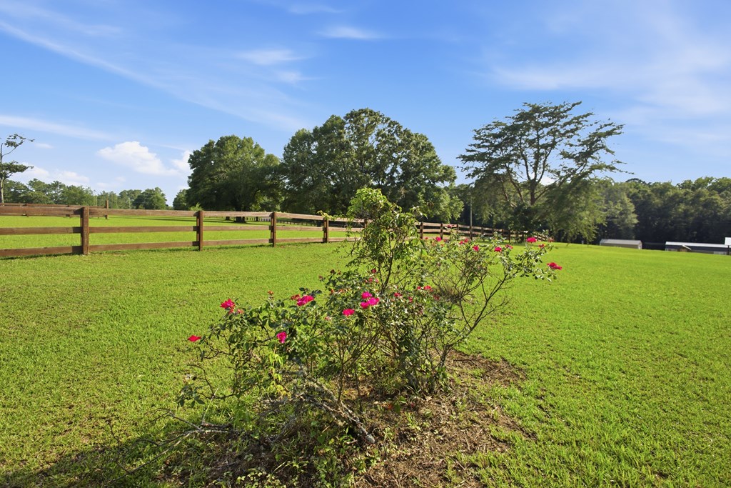 344 Hidden Springs Road Midland City, AL 36350 - Photo 50 of 64