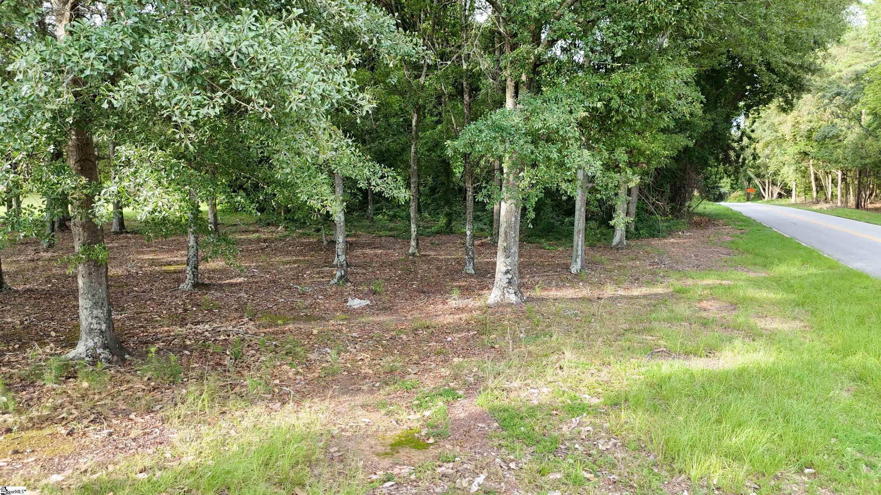 3501 River Road Powdersville, SC 29673 - Photo 3 of 13 Gallery Image 3
