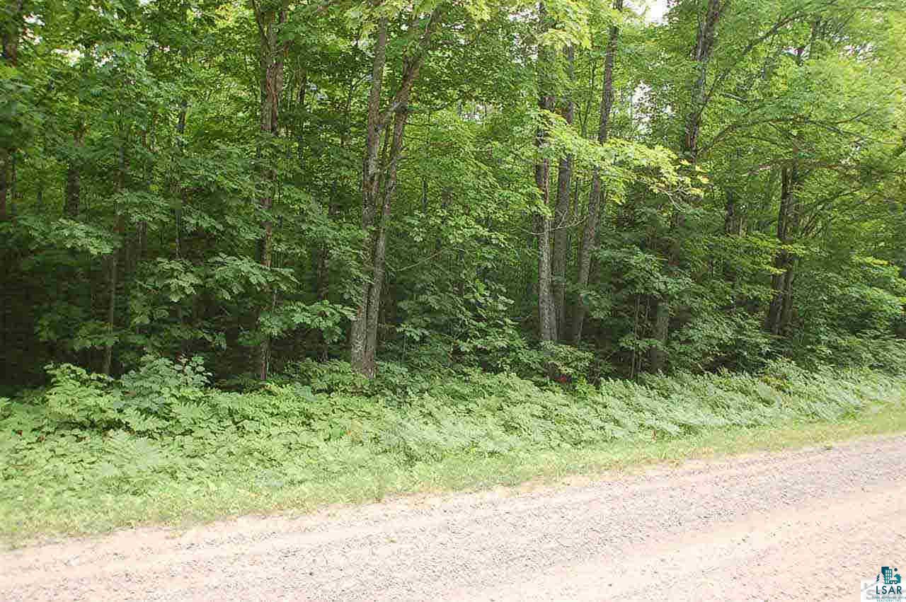 Xxx Hyde Road Bayfield, WI 54814 - Photo 2 of 7 Gallery Image 2