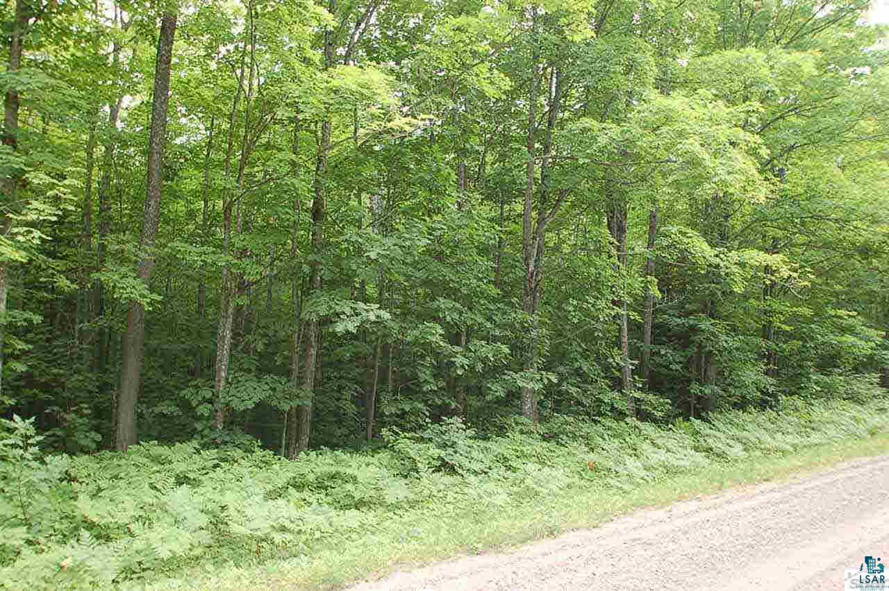 Xxx Hyde Road Bayfield, WI 54814 - Photo 3 of 7 Gallery Image 3