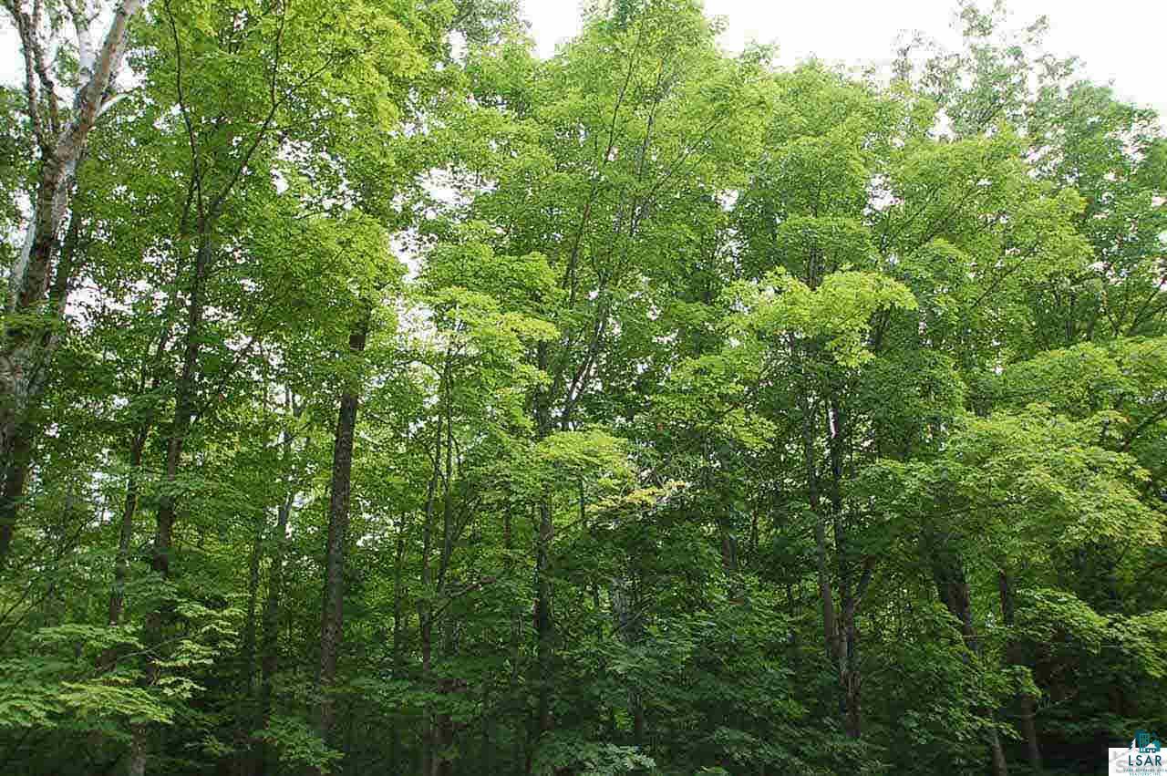 Xxx Hyde Road Bayfield, WI 54814 - Photo 4 of 7 Gallery Image 4