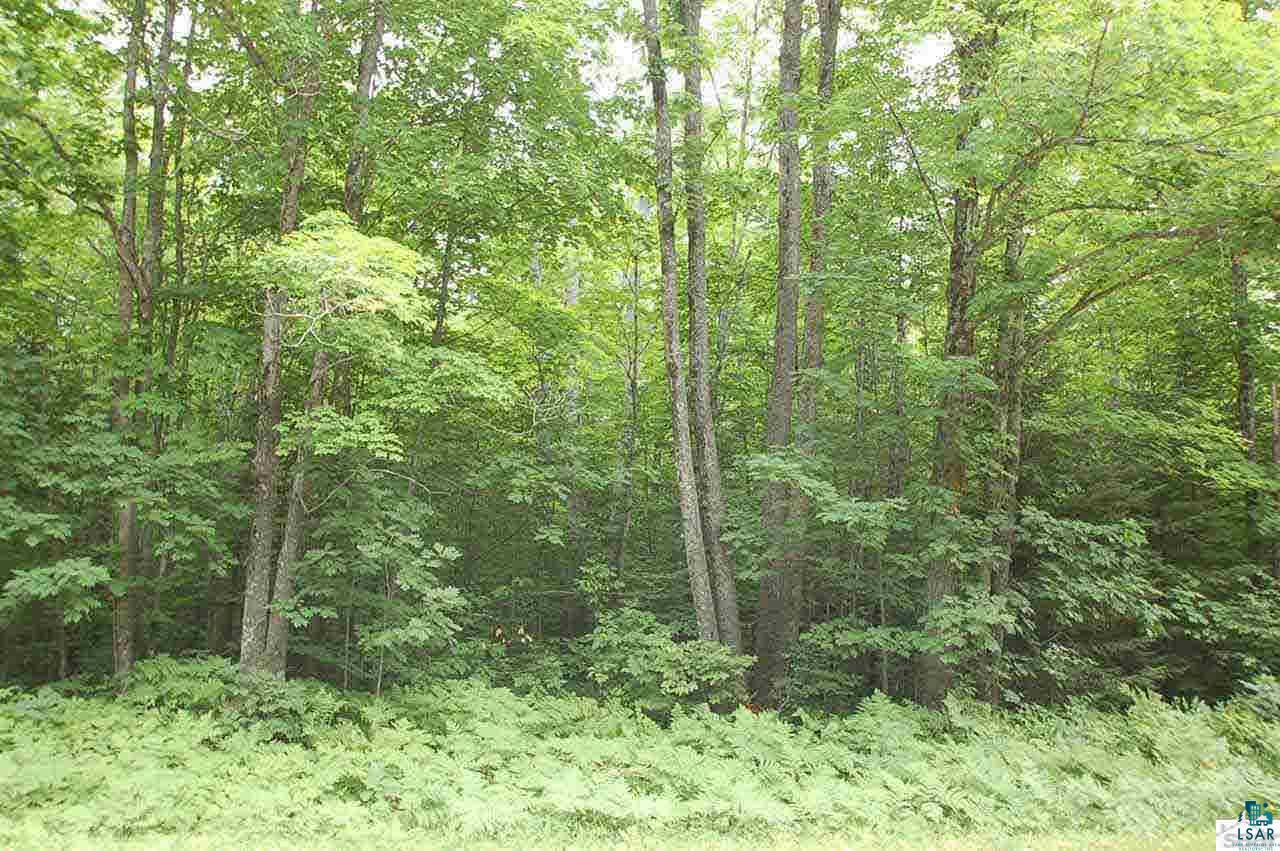 Xxx Hyde Road Bayfield, WI 54814 - Photo 5 of 7 Gallery Image 5