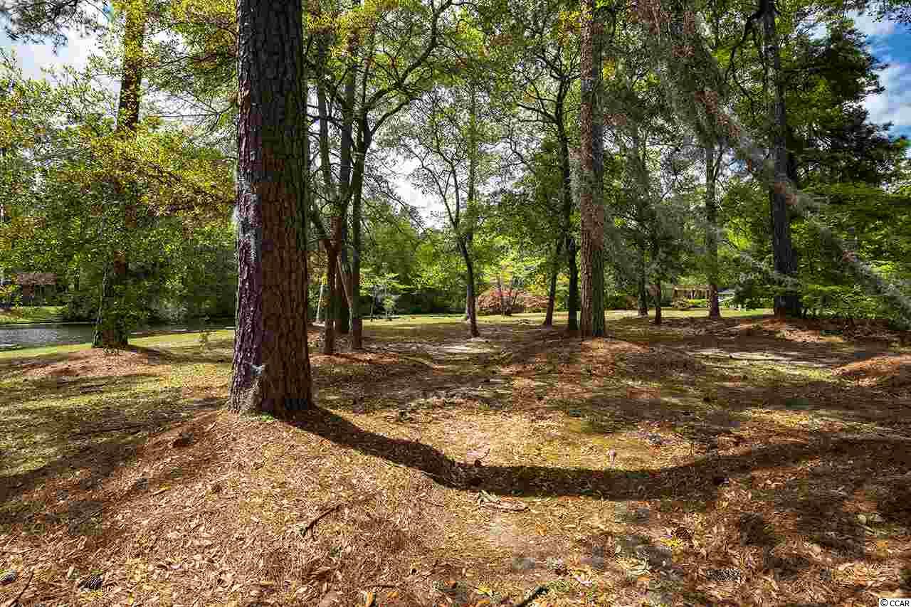 2079 Colonial Street Georgetown, SC 29440 - Photo 7 of 22 Gallery Image 7