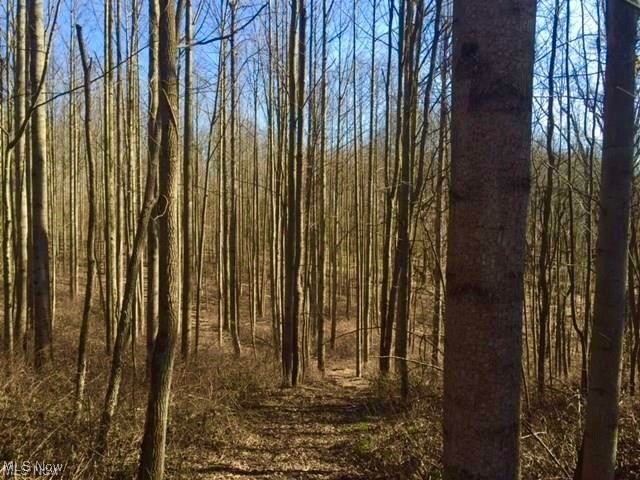 819 Midvale Mine Road Southeast Dennison, OH 44621 - Photo 31 of 35 trails